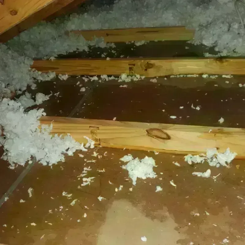 Attic Water Damage in Fairmount, IN